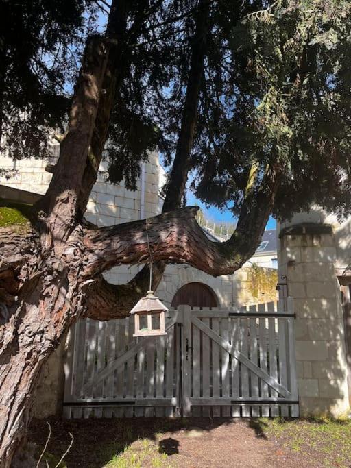 Le Relais De L'Artiste Villa Turquant Eksteriør billede